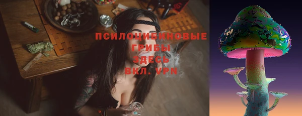 кокаин Белокуриха