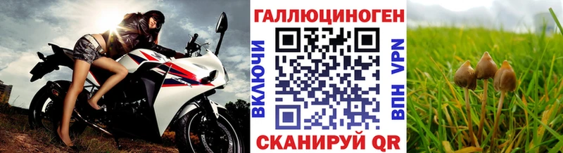 Псилоцибиновые грибы мицелий  Павловск 