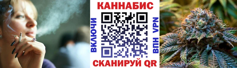 Канабис гибрид  Павловск 